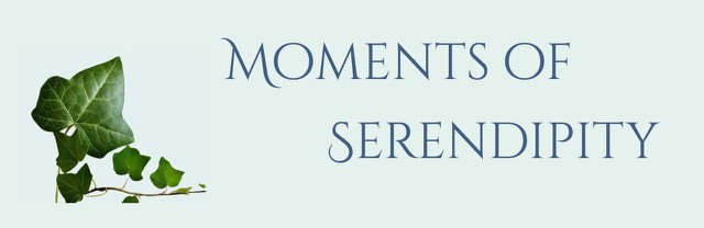 Moments of Serendipity